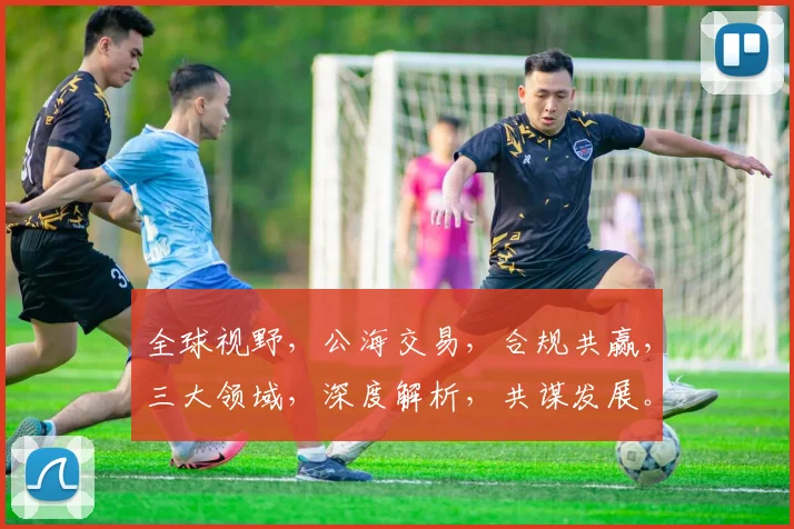 全球视野，公海交易，合规共赢，三大领域，深度解析，共谋发展。