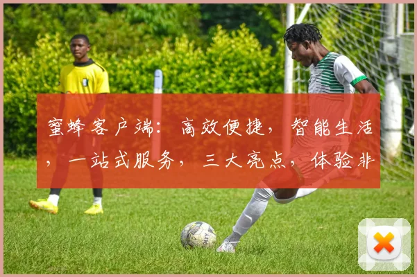 蜜蜂客户端：高效便捷，智能生活，一站式服务，三大亮点，体验非凡