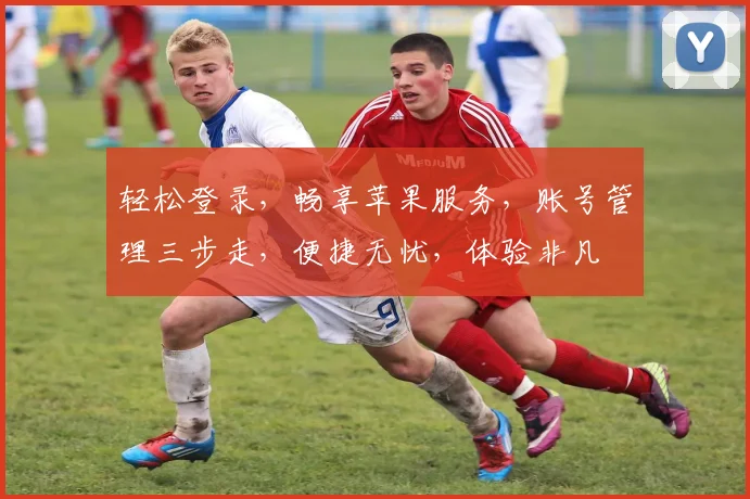 轻松登录，畅享苹果服务，账号管理三步走，便捷无忧，体验非凡